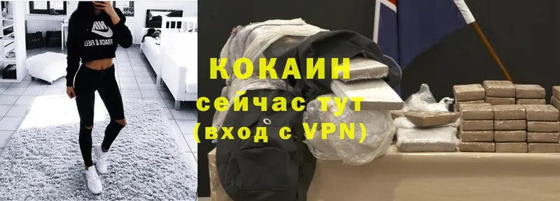 Cocaine FishScale  магазин  наркотиков  Ульяновск 