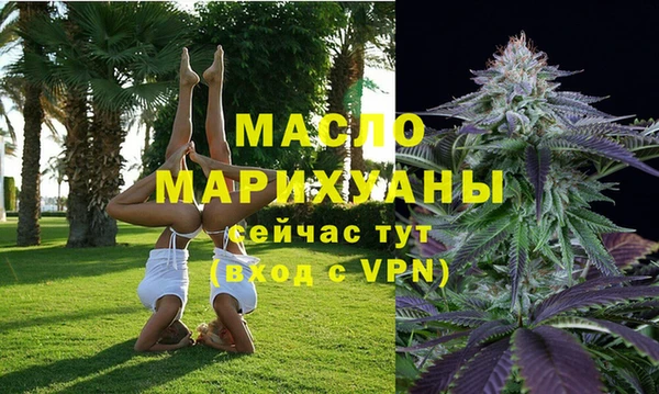 сатива Магас