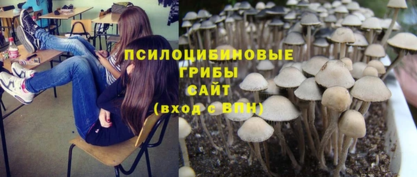 мяу мяу мука Липки