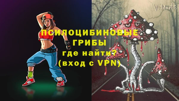 ешки Анива