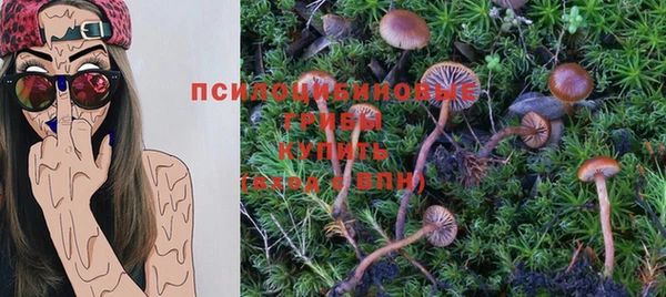 дурь Лихославль
